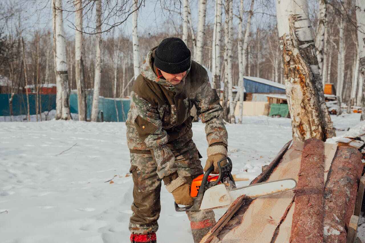 Best Tree Cutting Near Me  in Sarasota Springs, FL